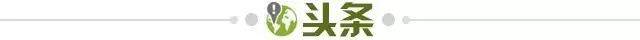 【早报】疯了！沙特王室下场3亿年薪报价维尼修斯！